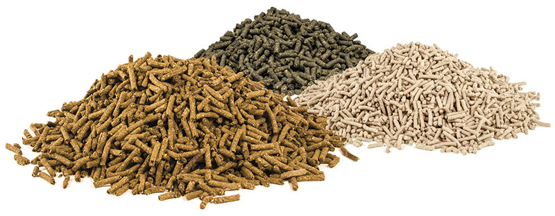 Joint Supplement for Horses, Advanced - Piles of UltraCruz Supplement pellets